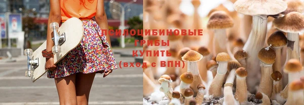 шишки Гусев