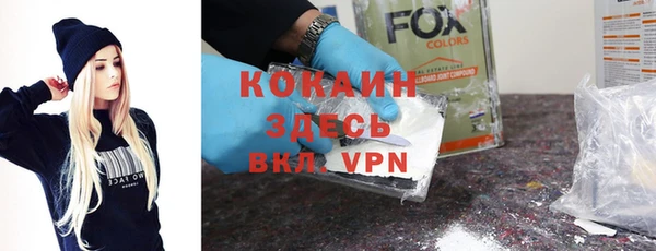 шишки Гусев