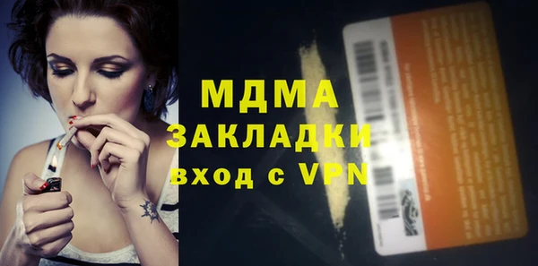 шишки Гусев