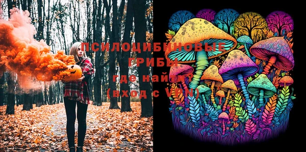 шишки Гусев