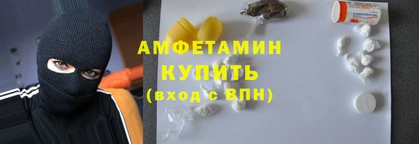 шишки Гусев