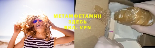 шишки Гусев