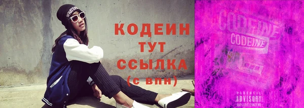 шишки Гусев